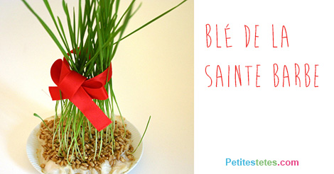 ble-sainte-barbe2