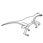 velociraptor 1