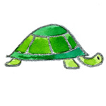 la-famille-tortue-a-ecouter-1