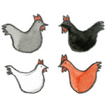 Comptines avec des poules